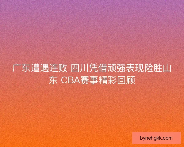 广东遭遇连败 四川凭借顽强表现险胜山东 CBA赛事精彩回顾